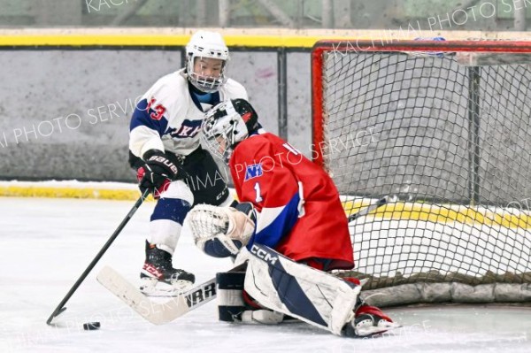 清水、御影、芽室の全十勝Ａが銅メダル　全国中学アイスホッケー 15
