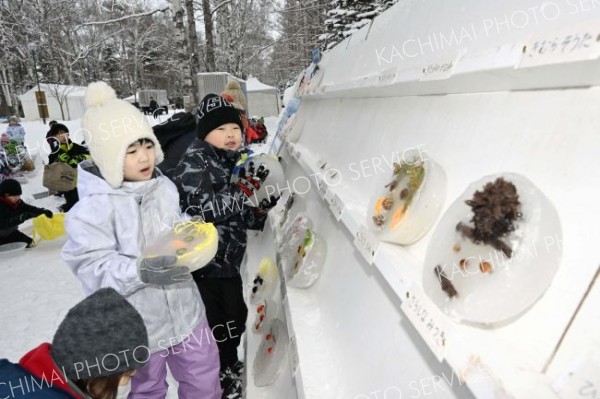 氷のお面（金野和彦撮影）