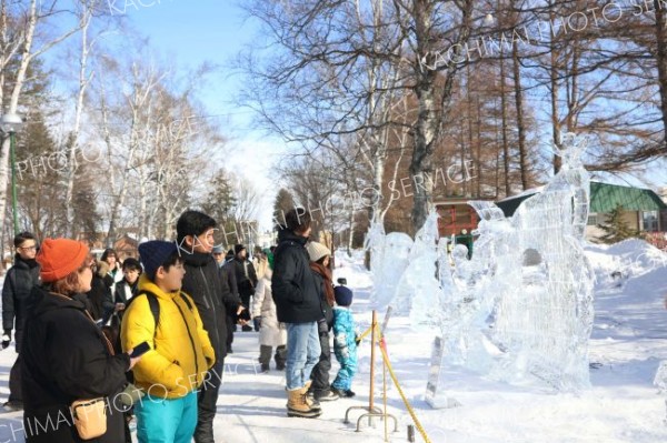 「第２０回全国氷彫刻展冬季帯広大会」の作品を鑑賞する来場者（１日午前１０時半ごろ、平栗玲香通信員撮影）