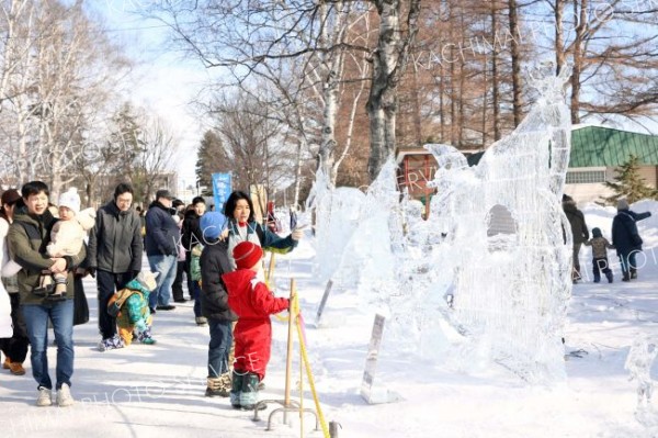 「第２０回全国氷彫刻展冬季帯広大会」の作品を鑑賞する来場者（１日午前１０時３５分ごろ、平栗玲香通信員撮影）