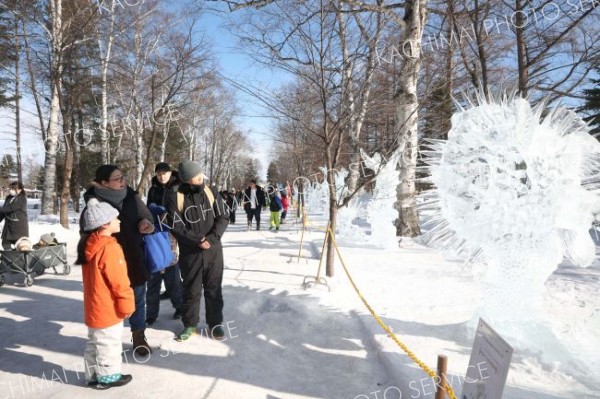 「第２０回全国氷彫刻展冬季帯広大会」の作品を鑑賞する来場者（１日午前１０時１５分ごろ、平栗玲香通信員撮影）
