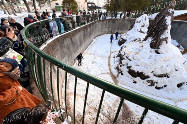 一足お先に「節分」　おびひろ動物園のサル山で“落花生”の豆まき
