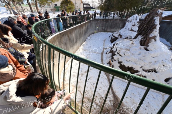 器用に落花生を食べるサルを観察する来園者