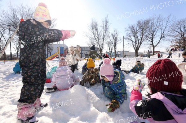 帯広市内の公園で、青空の下元気よく雪遊びをする保育園児（４日午前１０時５０分ごろ、助川かおる通信員撮影）