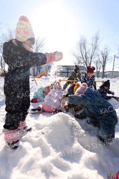 帯広市内の公園で、青空の下元気よく雪遊びをする保育園児（４日午前１０時５０分ごろ、助川かおる通信員撮影）