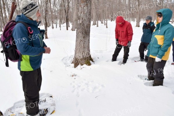 雪に残る足跡から、動物の動きを想像する参加者ら