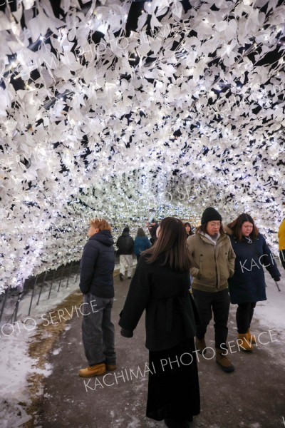 <strong>＜トンネル復活＞</strong><br>ビニールハウスの骨組みに照明を取り付けた光のトンネル。昨冬は大雪で倒壊したが、見事に復活。主会場と光のプロムナード（休憩所）の連絡通路を明るく照らす