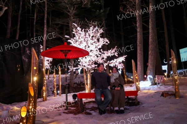 <strong>＜冬桜＞</strong><br>日本一早い桜の開花をうたい文句に造花を木に付けて満開の冬桜としてライトアップ。２カ所には茶席も設けてあり、カップルや家族連れなどの目を楽しませている