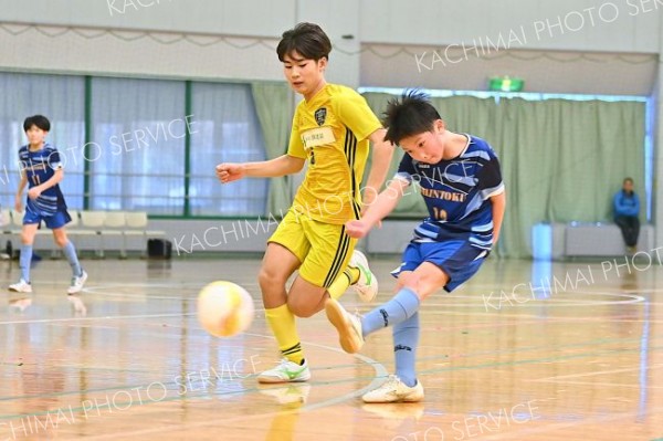 音更ＵＮ、芽室Ｗ、しんとく、幕札Ｒが全道切符　フットサルＵ―１２十勝地区予選