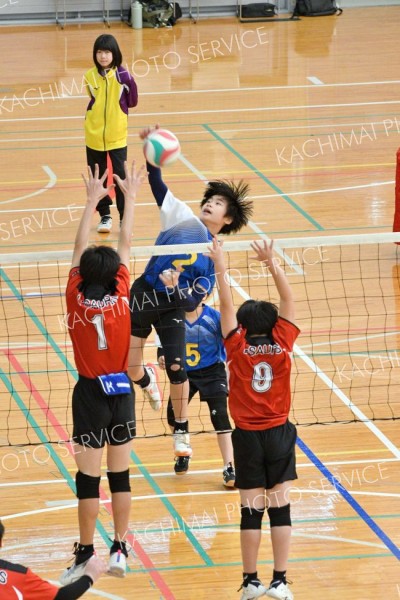 稲田が男子初優勝　女子は下音更２年ぶり　混合は豊頃　しげ吉杯全十勝小学生バレー