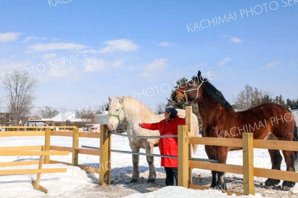 新たに仲間に加わったピアノ（左）とムサシコマ（平栗玲香通信員撮影）
