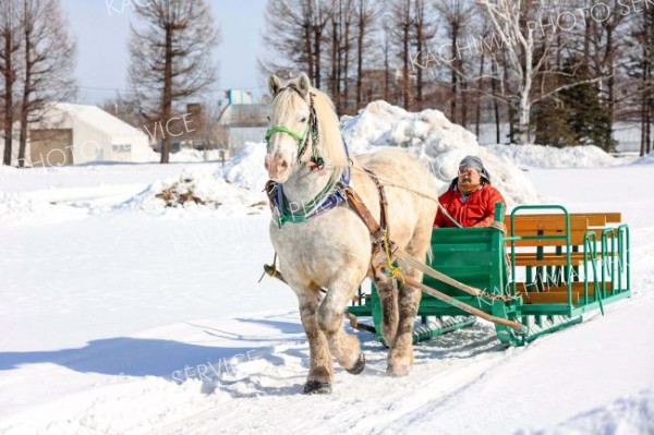 新たに仲間に加わったピアノ（平栗玲香通信員撮影）