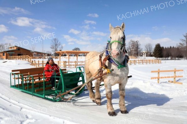 新たに仲間に加わったピアノ（平栗玲香通信員撮影）