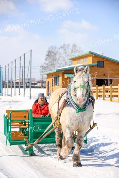 新たに仲間に加わったピアノ（平栗玲香通信員撮影）