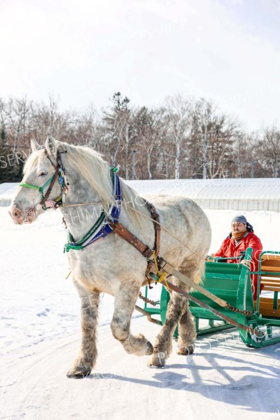 新たに仲間に加わったピアノ（平栗玲香通信員撮影）
