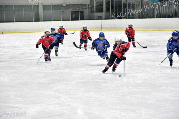 小学生が氷上で熱戦　清水御影でアイスホッケー大会・交歓会