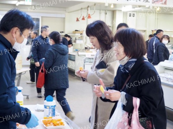 卸売市場でかんきつ食べ比べ　お気に入りに投票