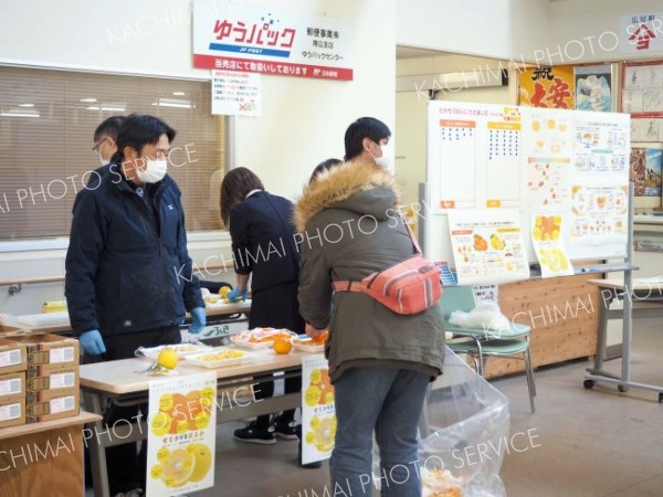 どっちが好み？　卸売市場でかんきつ食べ比べ 2