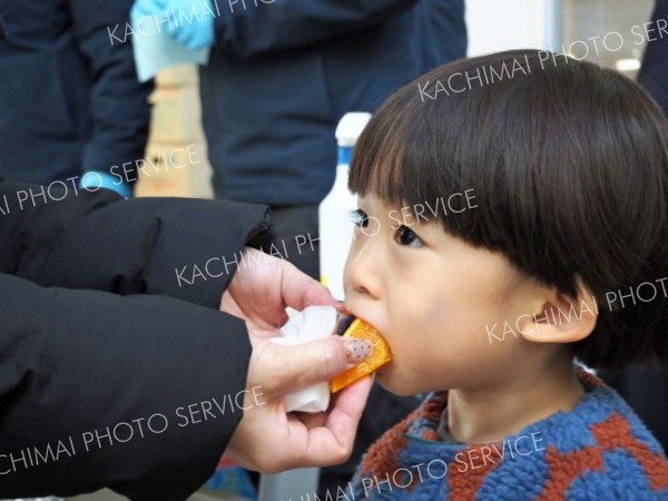 どっちが好み？　卸売市場でかんきつ食べ比べ 3