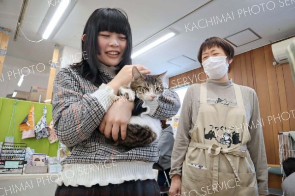 保護猫に目を向けて　「猫の日」に保護猫譲渡会～こぼれ話