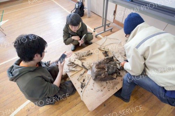 越冬する昆虫や幼虫を探す参加者ら