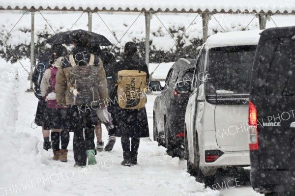十勝地方で大雪警戒　上札内２９センチ、帯広１５センチ　湿って重い雪　ＪＲ５０本運休