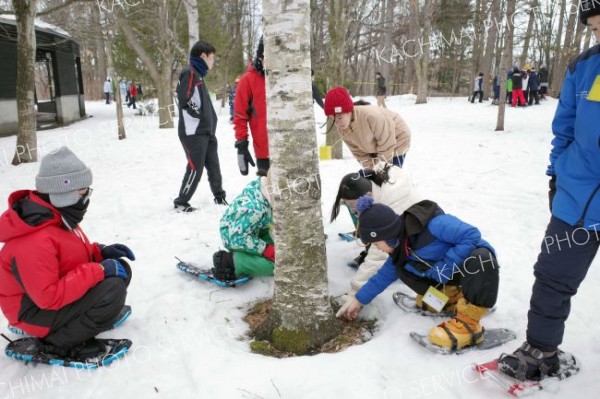 ネイパル足寄で「とかち冬の森探検隊」